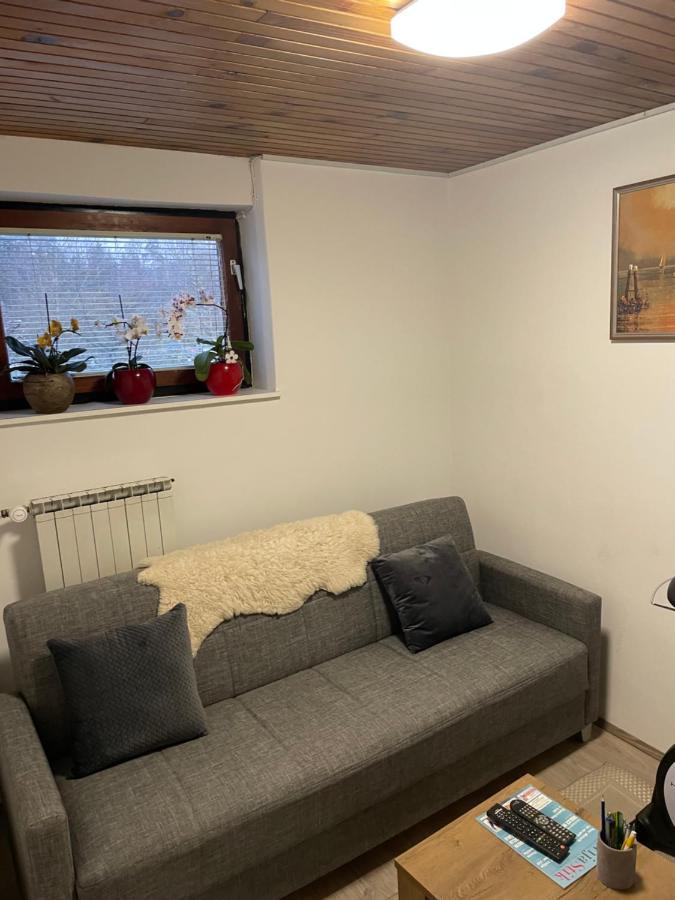 Appartamento Apartma Sohen Kocevje Esterno foto